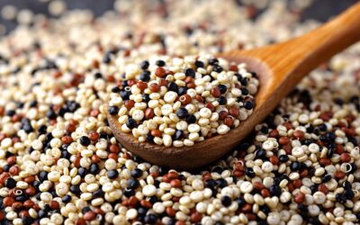 Komosa ryżowa – wszechstronne zastosowanie i korzyści zdrowotne quinoa